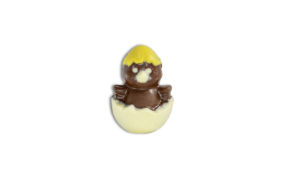 Pintinho de Chocolate